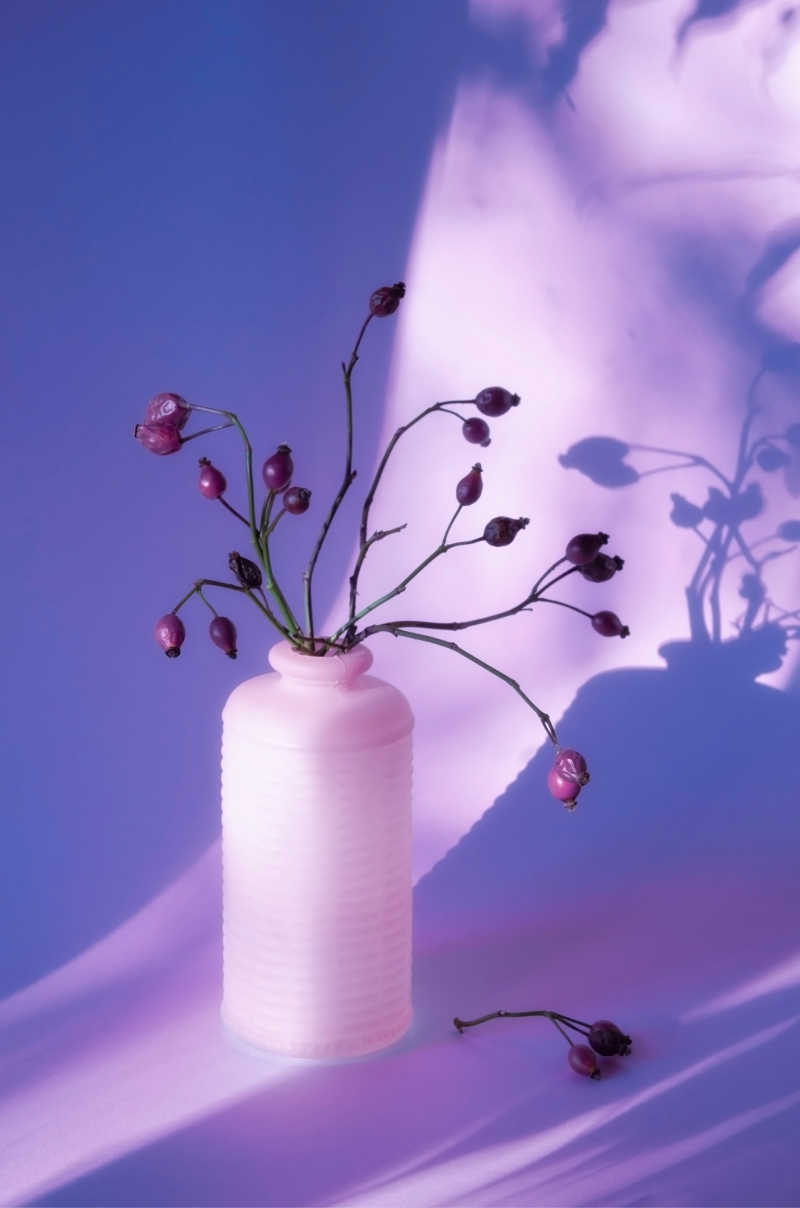 A flower vase on the purple and violet background